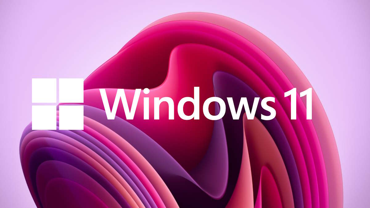 Atualizações e backups: duas medidas essenciais